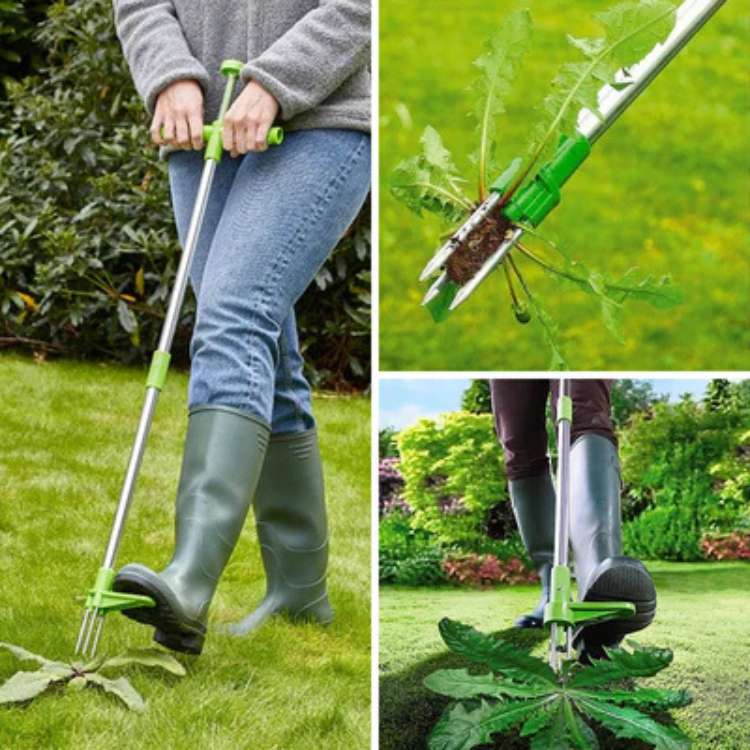 RootRaptor Unkrautzieher für saubere Rasenflächen und Gärten im Freien